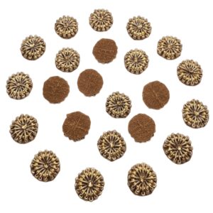 Small Beautiful Design Decorative Brown Shade Applique Patches